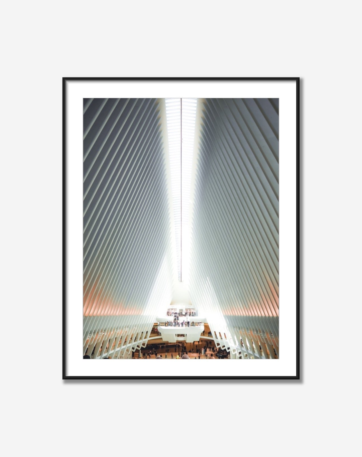 Oculus from the inside