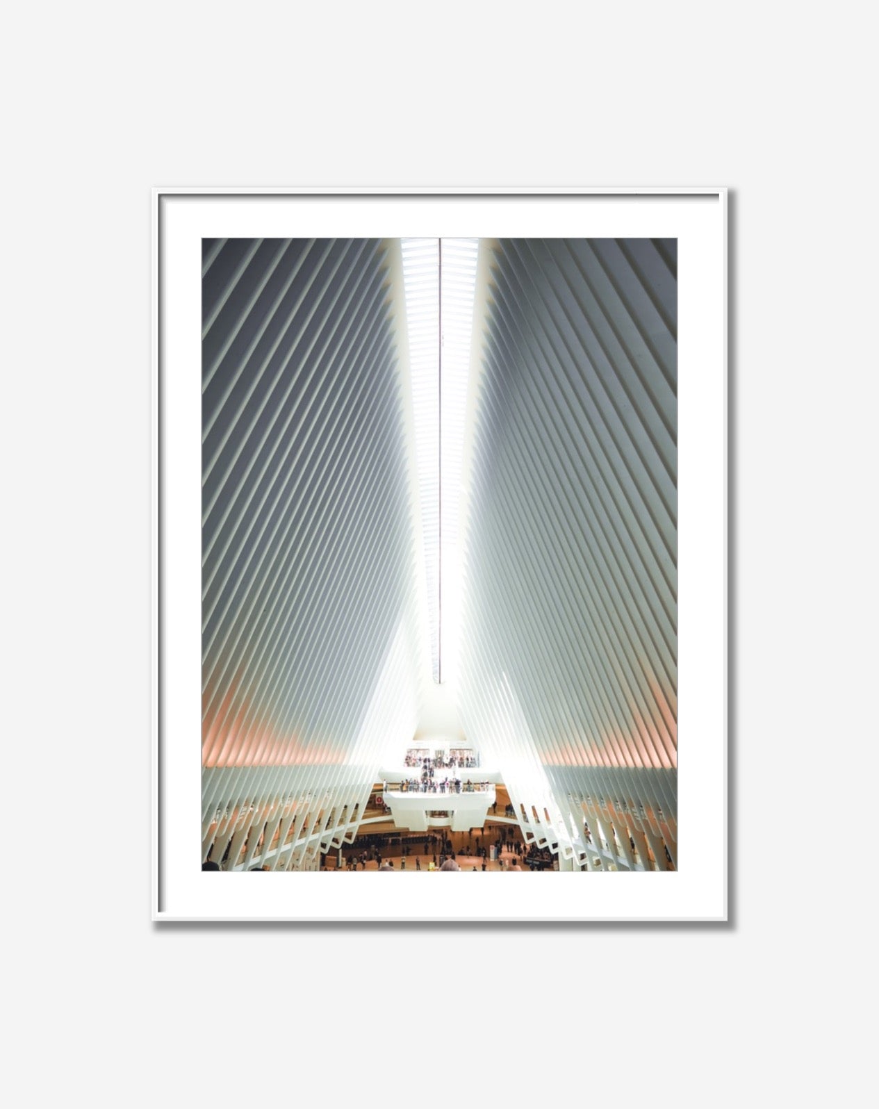 Oculus from the inside